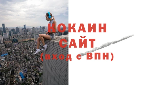 молекула духа Бородино