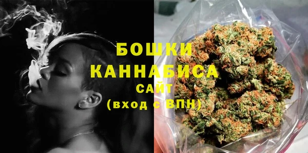 молекула духа Бородино