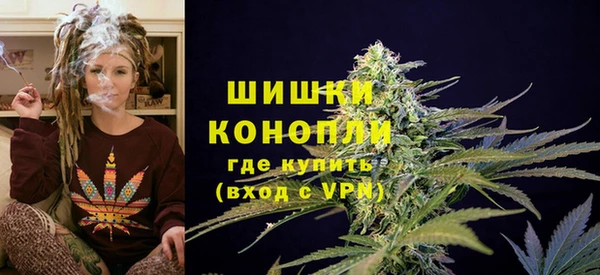 крисы Бугульма