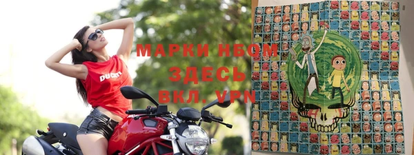 молекула духа Бородино