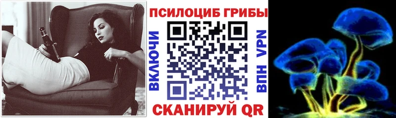 Галлюциногенные грибы MAGIC MUSHROOMS  закладки  Новосиль 